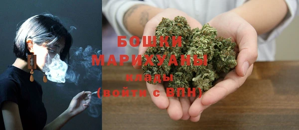 шишки Вязники