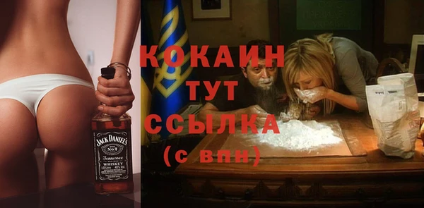 шишки Вязники