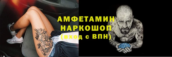 шишки Вязники