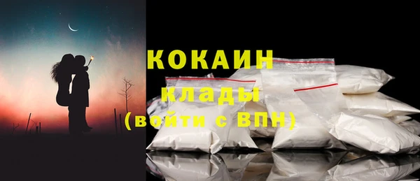 шишки Вязники