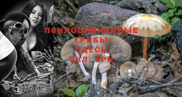 шишки Вязники
