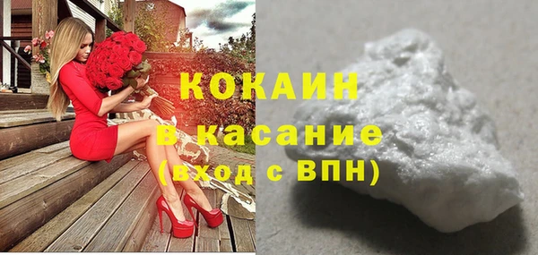 шишки Вязники
