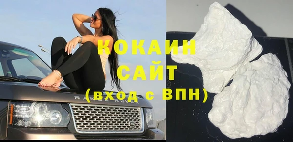 шишки Вязники